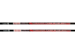 Lion Corando PT2 With Sic