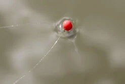 Drennan Crystal Dibber -Kwaliteitswinkel Voor Visuitrusting 623237002